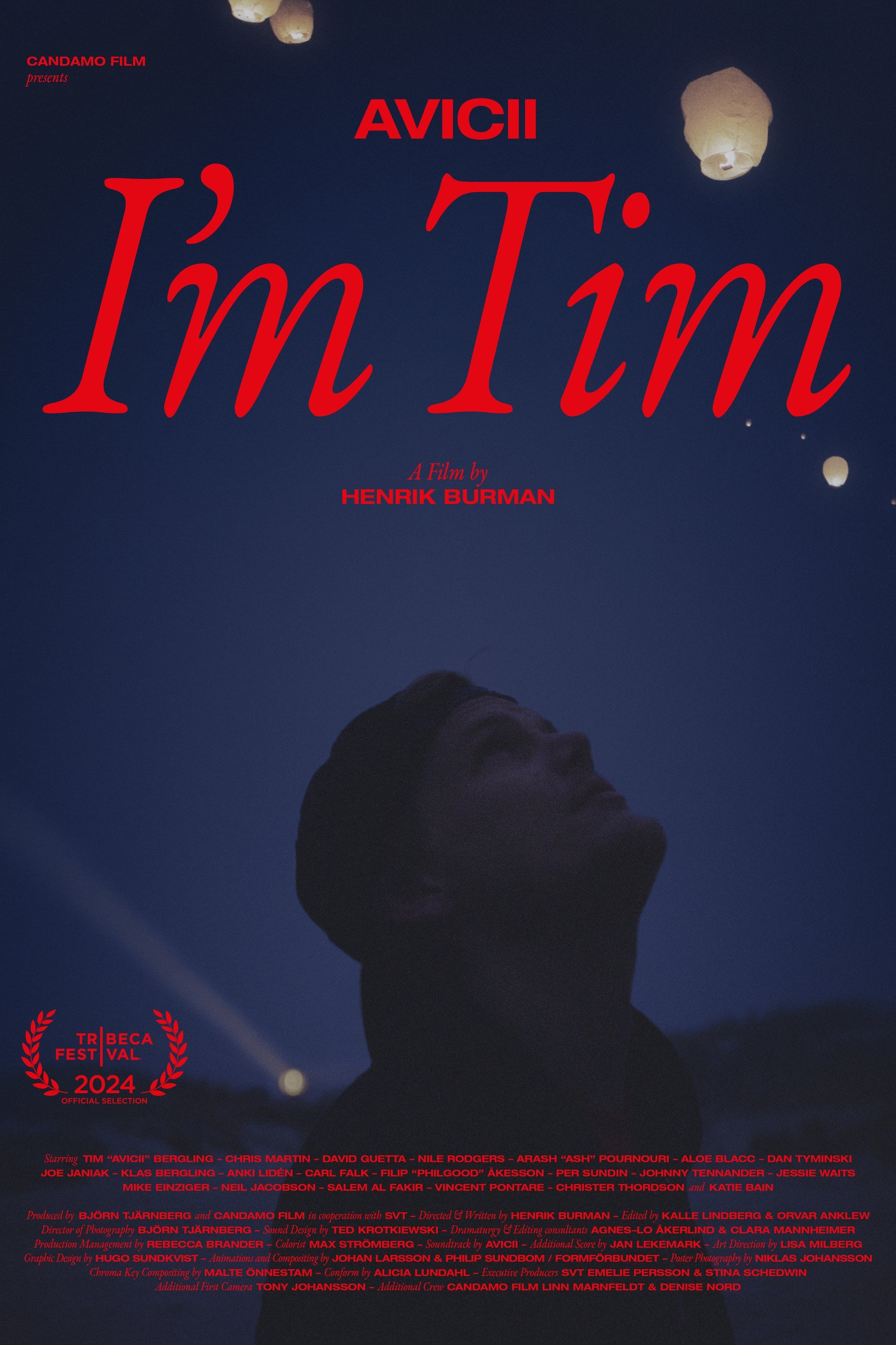 ดูหนังออนไลน์ Avicii - I'm Tim (2024) Avicii: ผมชื่อทิม