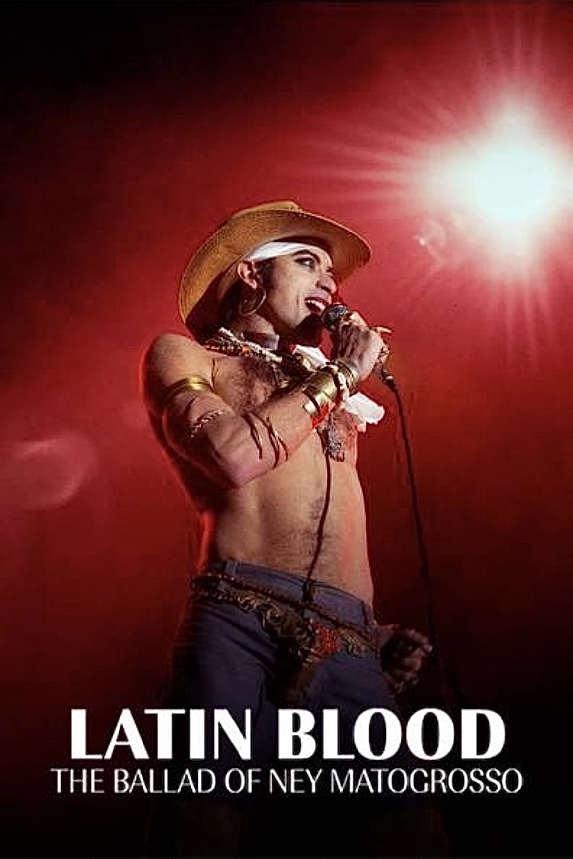 ดูหนังออนไลน์ Latin Blood – The Ballad of Ney Matogrosso (2025) เพลงชีวิตเนย์ มาโตกรอสโซ