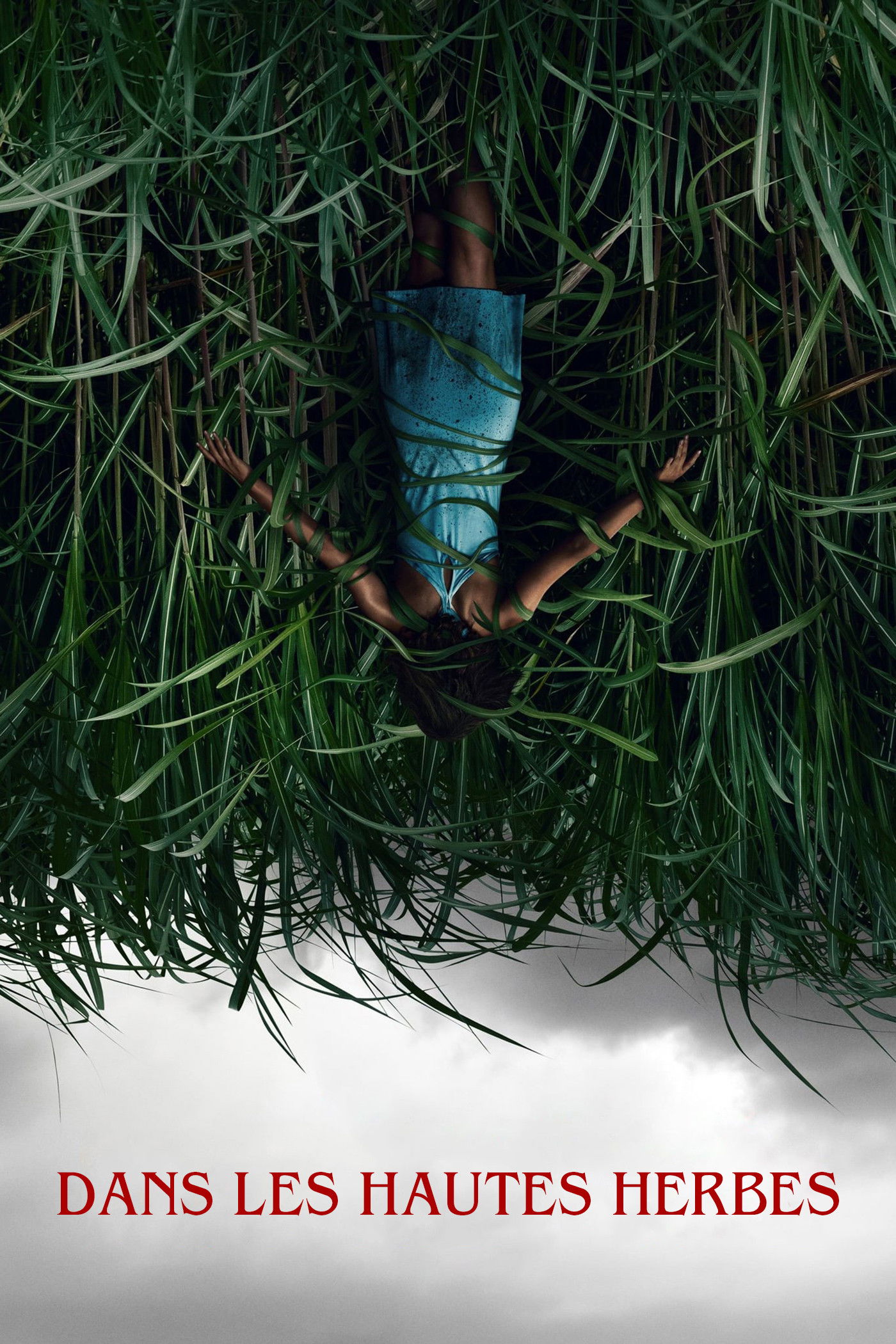 ดูหนังออนไลน์ In the Tall Grass (2019) พงหลอนมรณะ