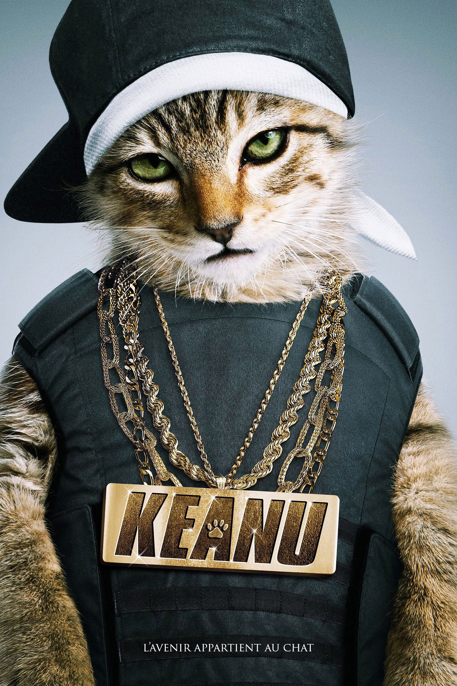 ดูหนังออนไลน์ Keanu (2016) คีอานู ปล้นแอ๊บแบ๊ว ทวงแมวเหมียว