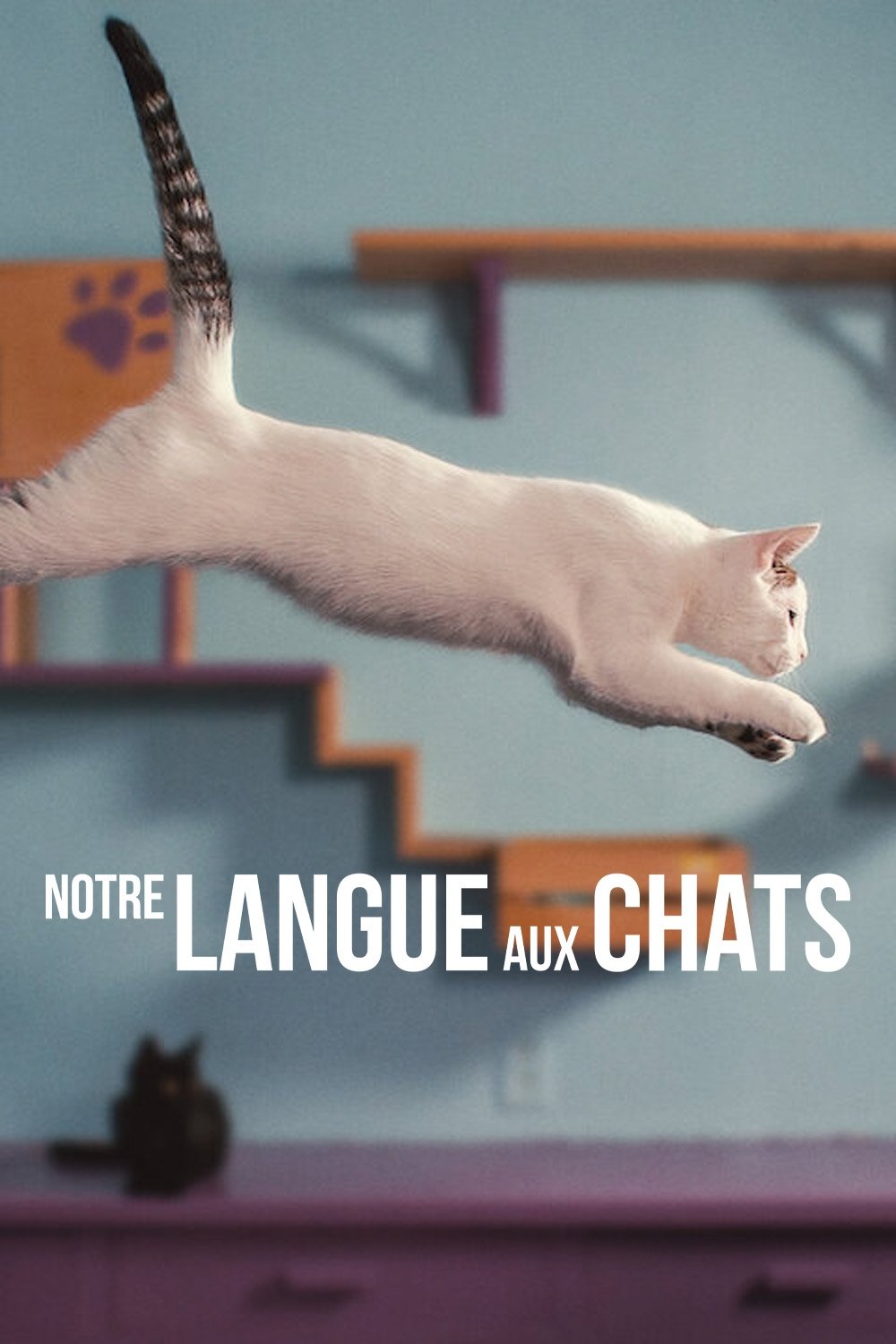 ดูหนังออนไลน์ Inside the Mind of a Cat (2022) คิดแบบแมวๆ