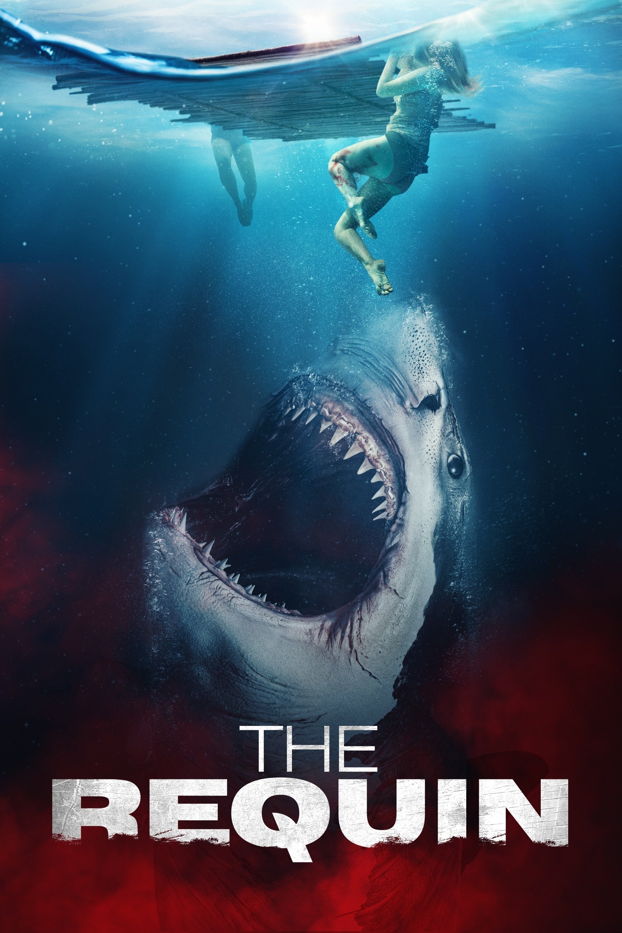 ดูหนังออนไลน์ The Requin (2022) นรกกลางสมุทร