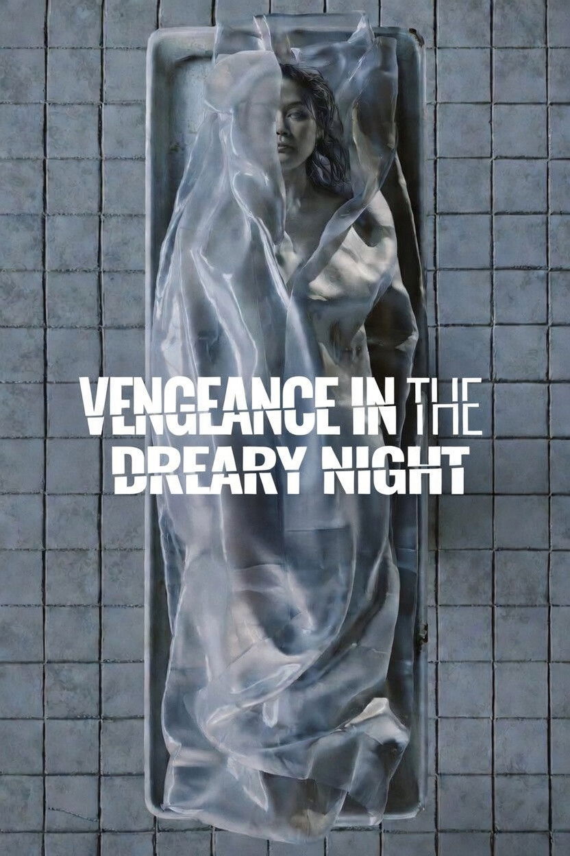 ดูหนังออนไลน์ Vengeance in the Dreary Night (2025)