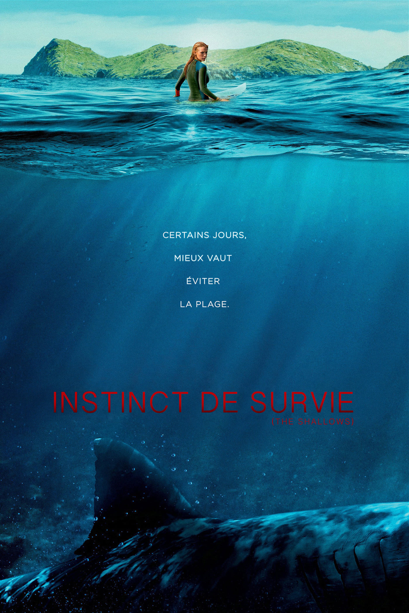 ดูหนังออนไลน์ The Shallows (2025) มฤตยูน้ำตื้น