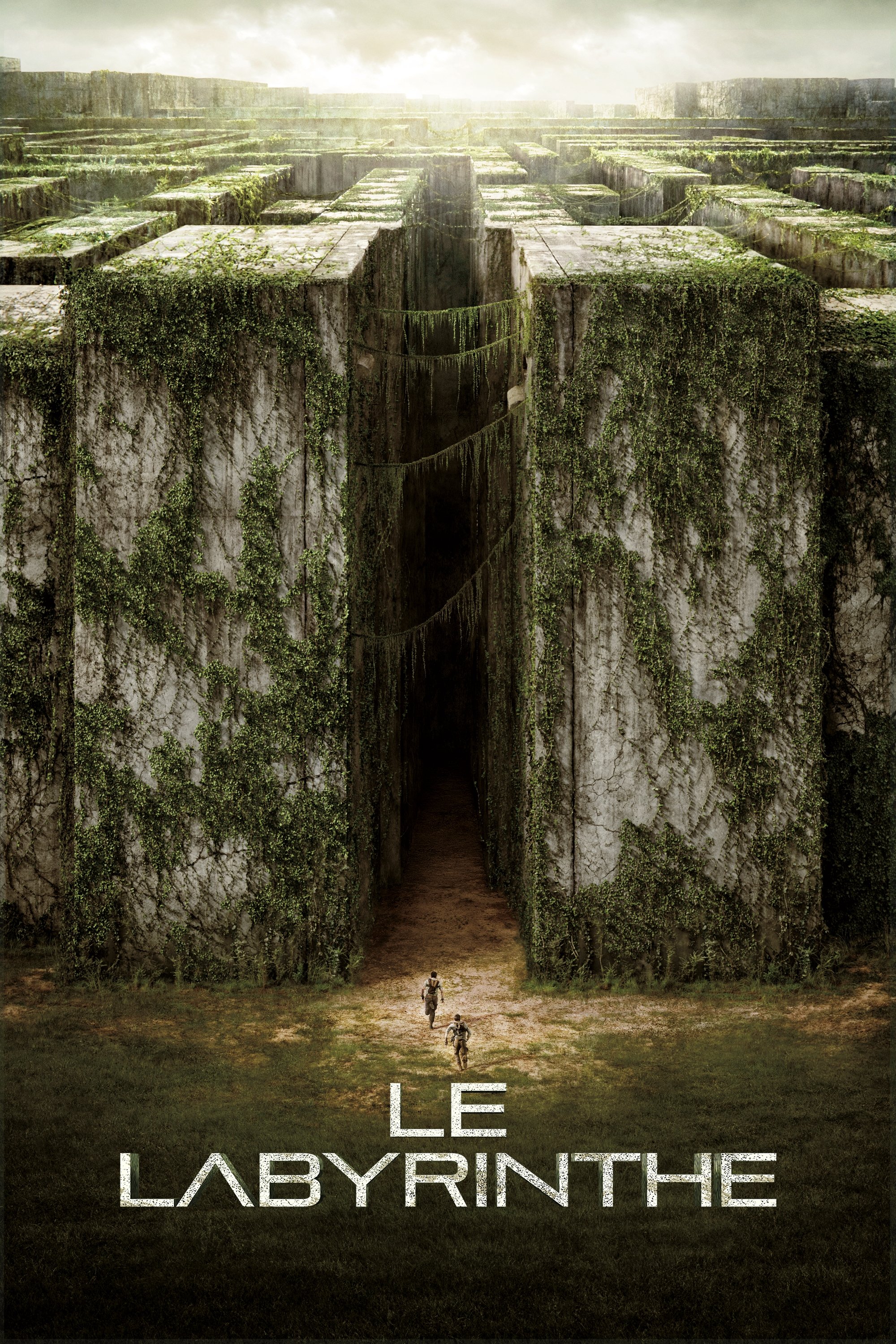 ดูหนังออนไลน์ The Maze Runner (2014) เมซ รันเนอร์ : วงกตมฤตยู