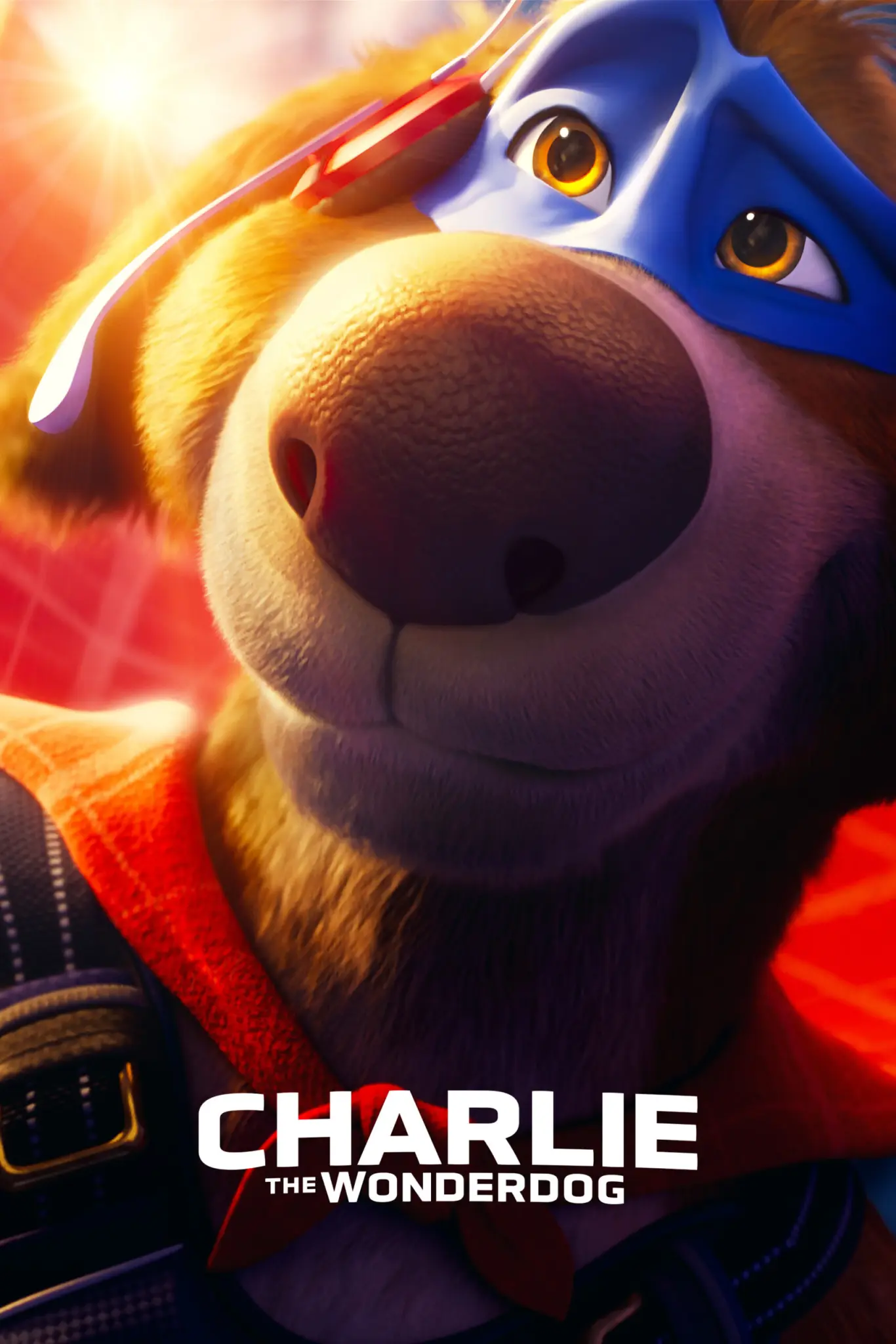 ดูหนังออนไลน์ Charlie the Wonderdog (2025)