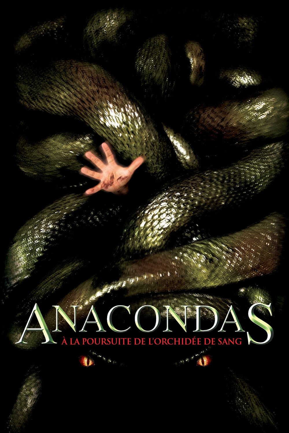ดูหนังออนไลน์ Anacondas: The Hunt for the Blood Orchid (2004) อนาคอนดา เลื้อยสยองโลก 2: ล่าอมตะขุมทรัพย์นรก