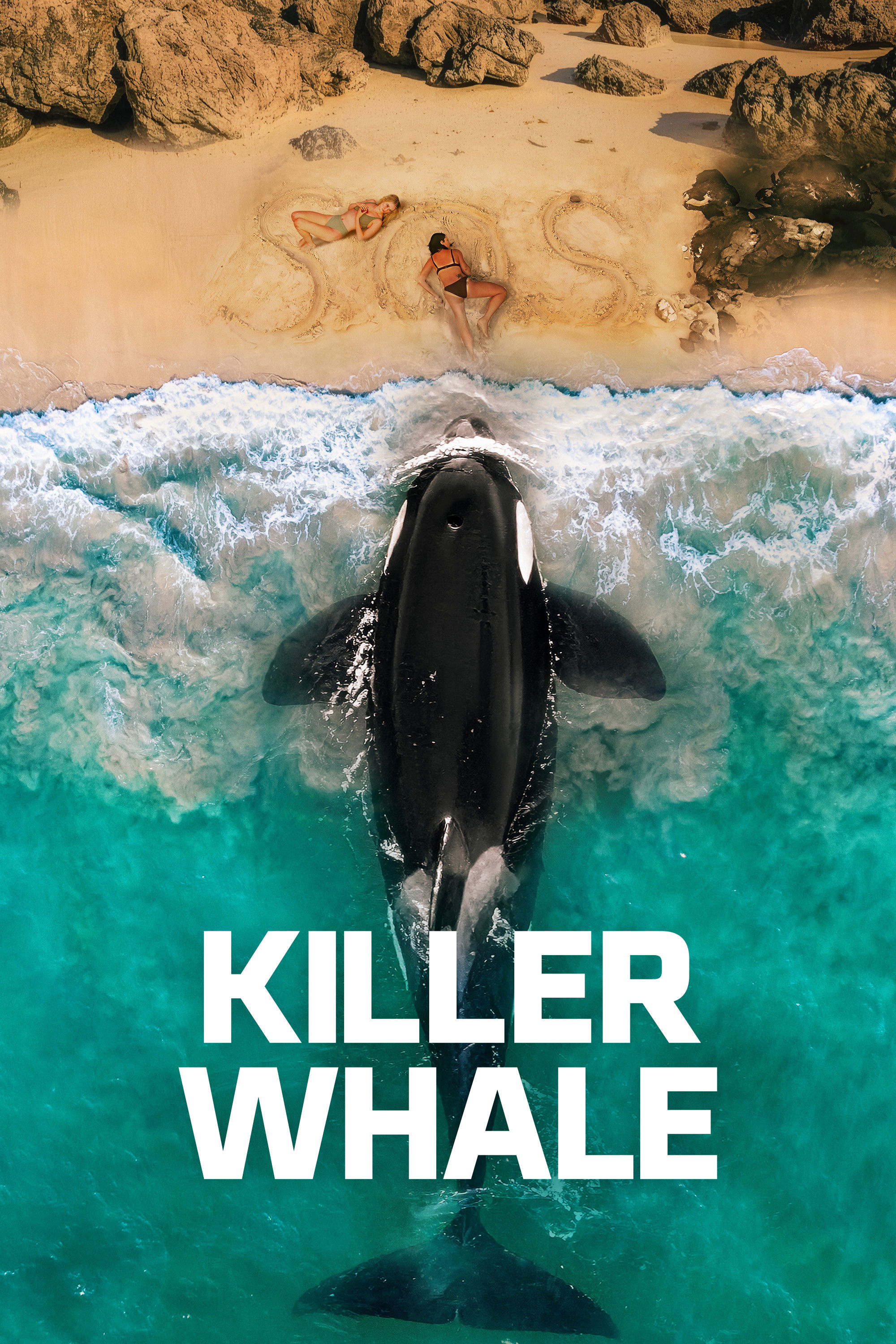 ดูหนังออนไลน์ Killer Whale (2026)