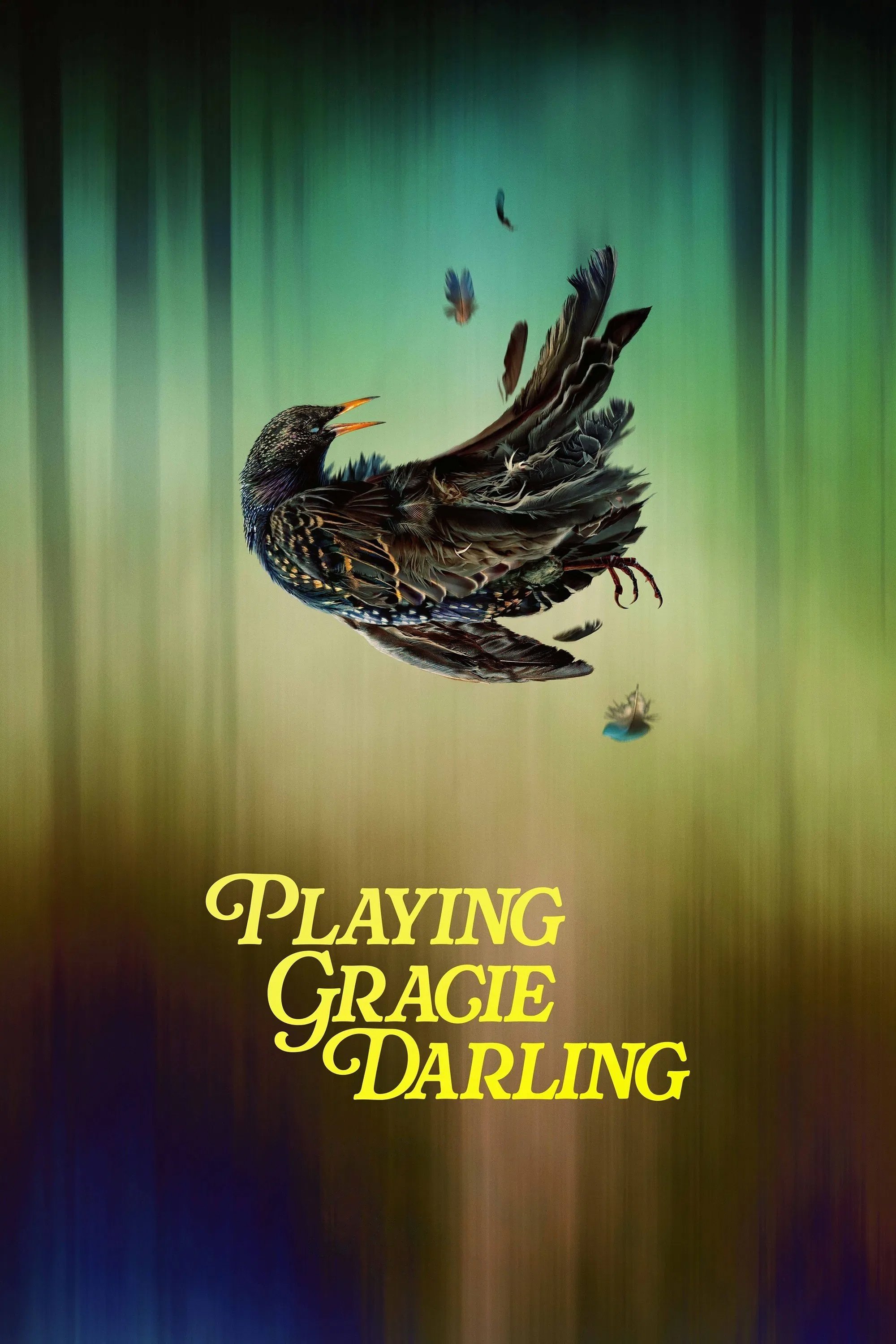 ดูหนังออนไลน์ Playing Gracie Darling (2025) เกมหลอน ลักพาตาย