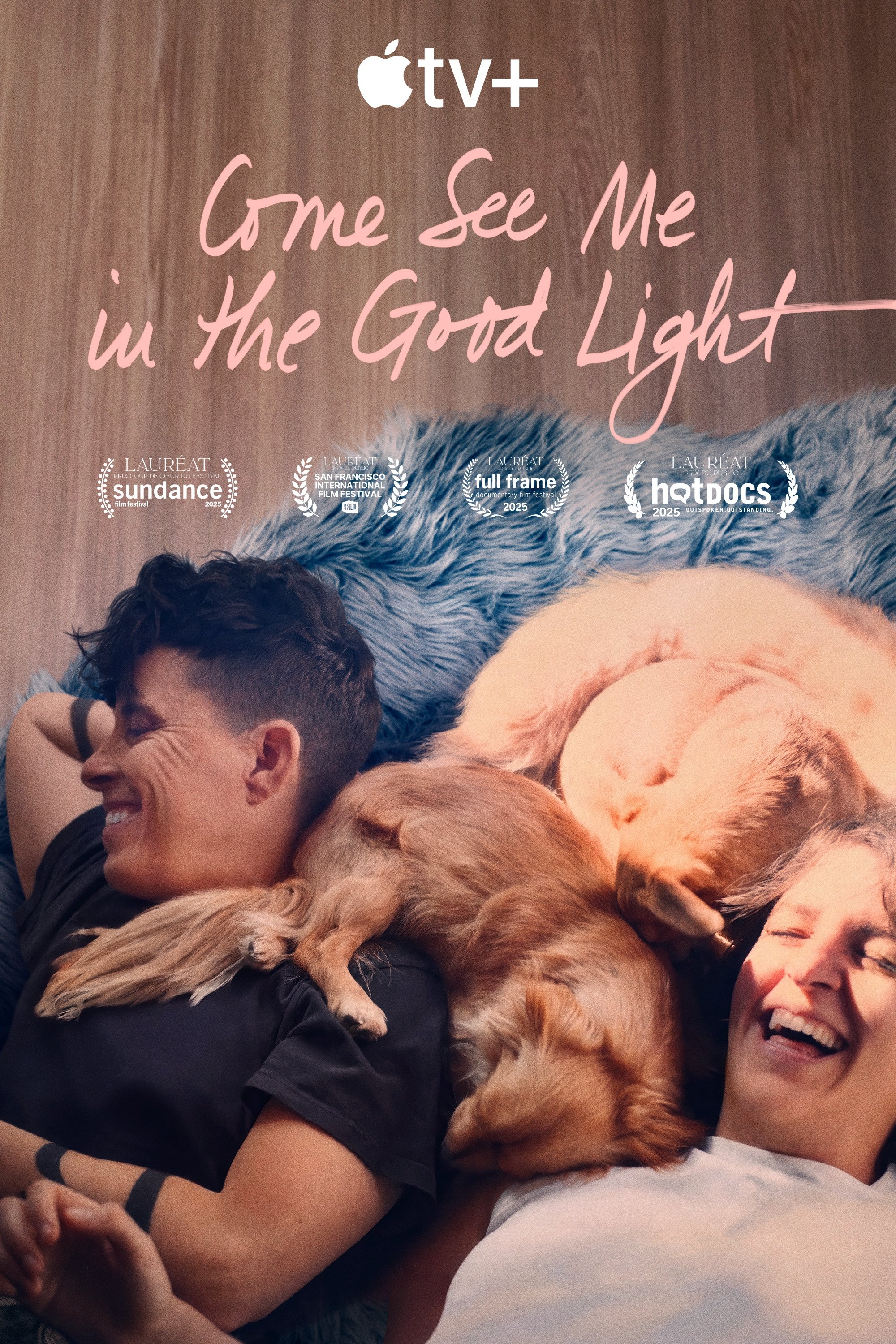 ดูหนังออนไลน์ Come See Me in the Good Light (2025)
