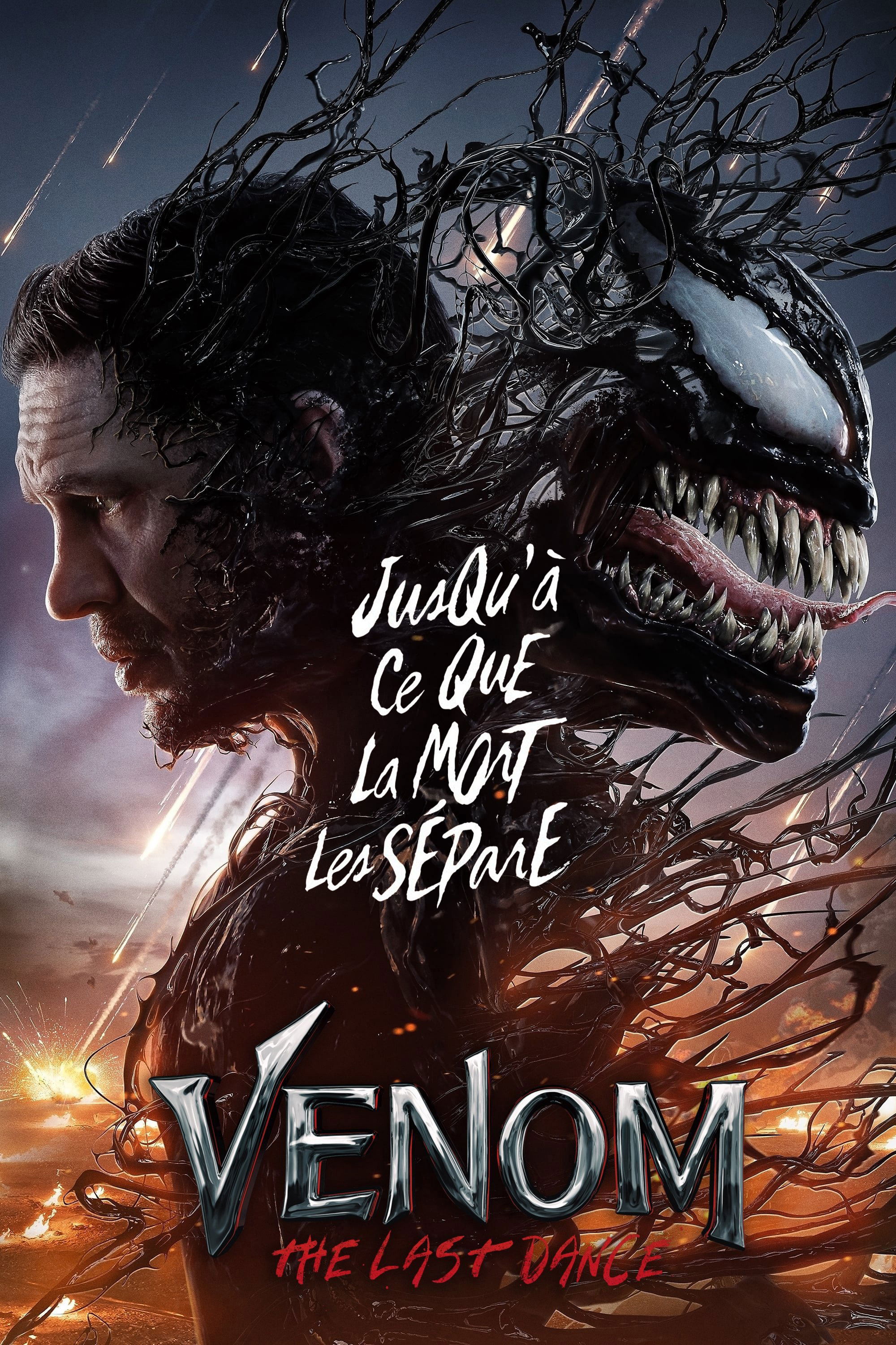 ดูหนังออนไลน์ The Last Dance (2024) เดอะ ลาสต์ แดนซ์
