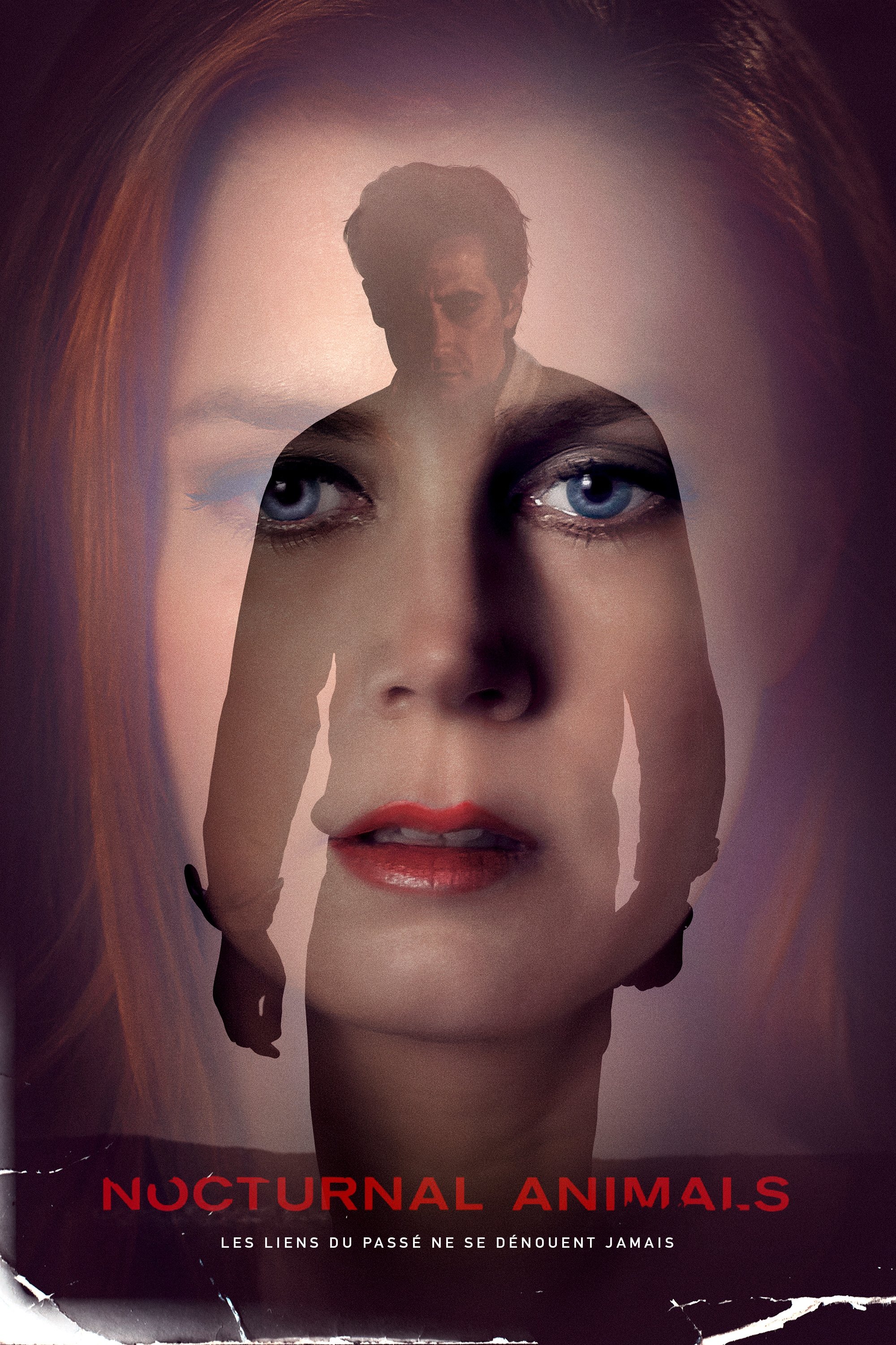Nocturnal Animals (2016) คืนทมิฬ