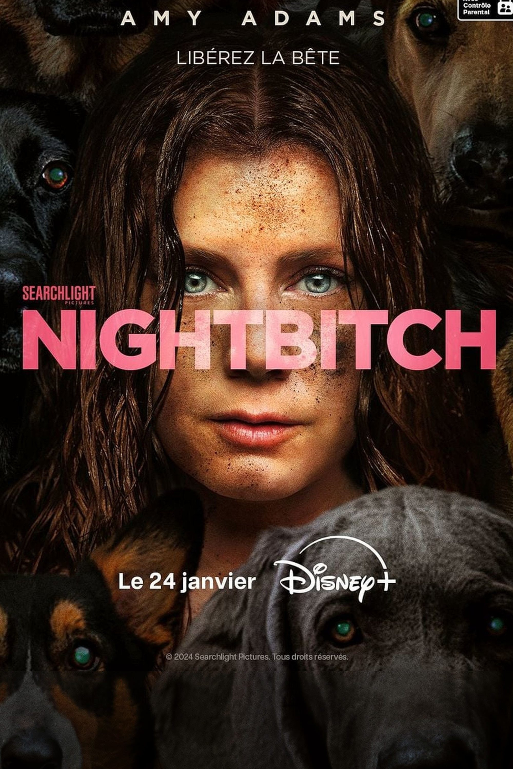ดูหนังออนไลน์ Nightbitch (2024)
