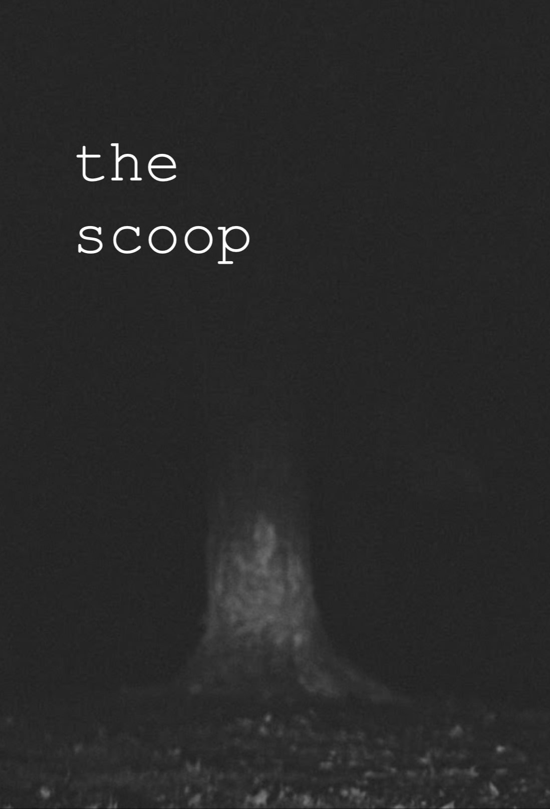 ดูหนังออนไลน์ The Scoop! (2024)