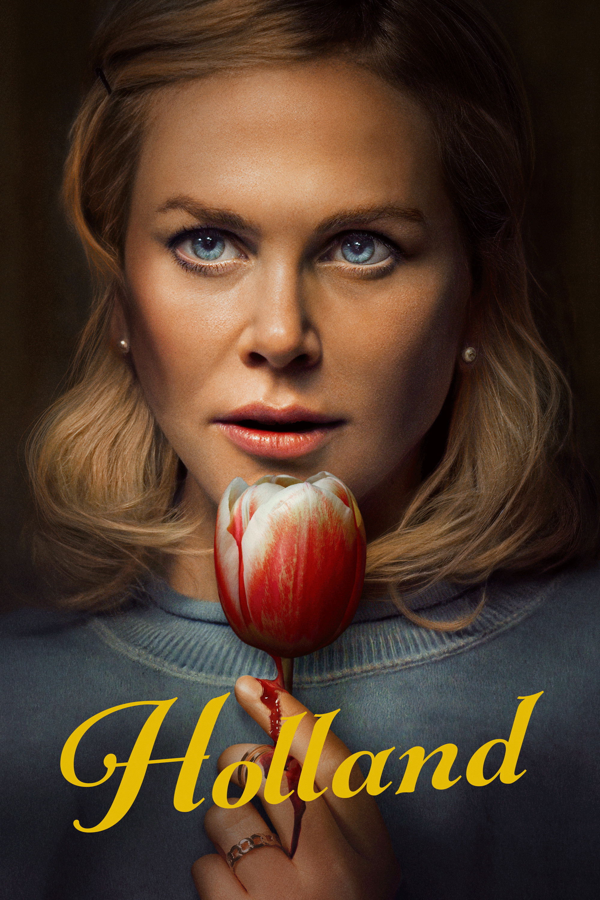 Holland (2025) ฮอลแลนด์ เมืองหลอนซ่อนความลับ