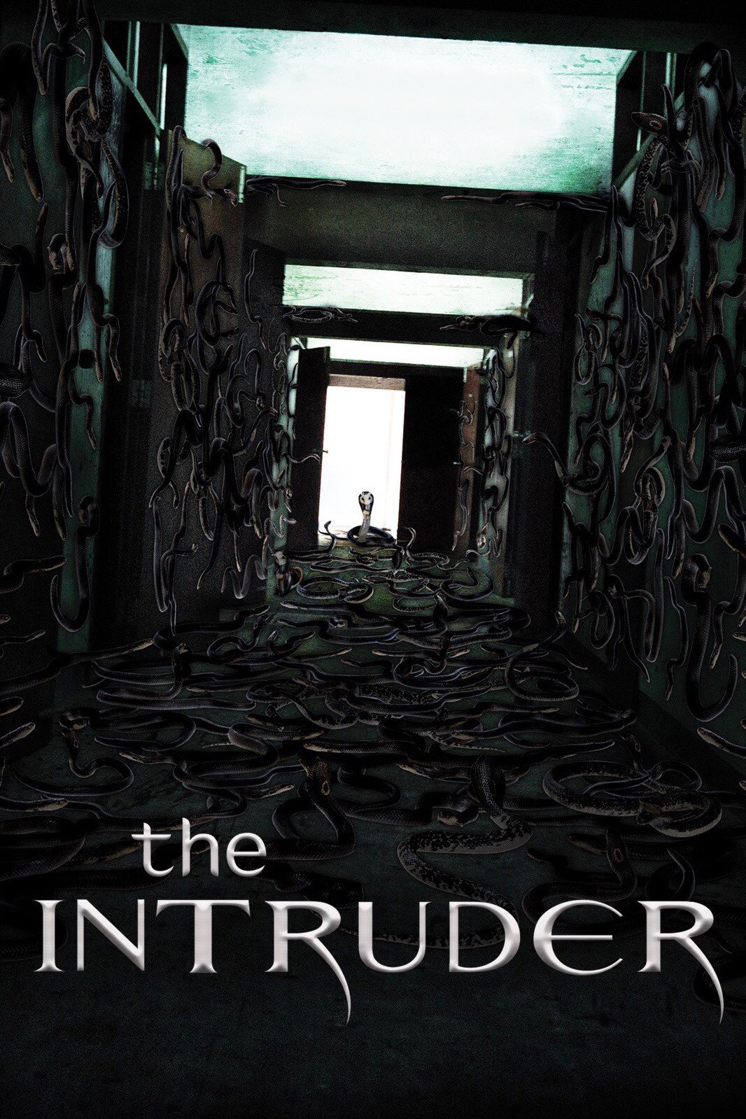 The Intruder (2025)