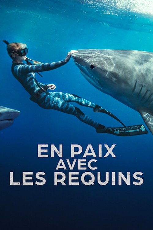 Shark Whisperer (2025) คนรักษ์ฉลาม
