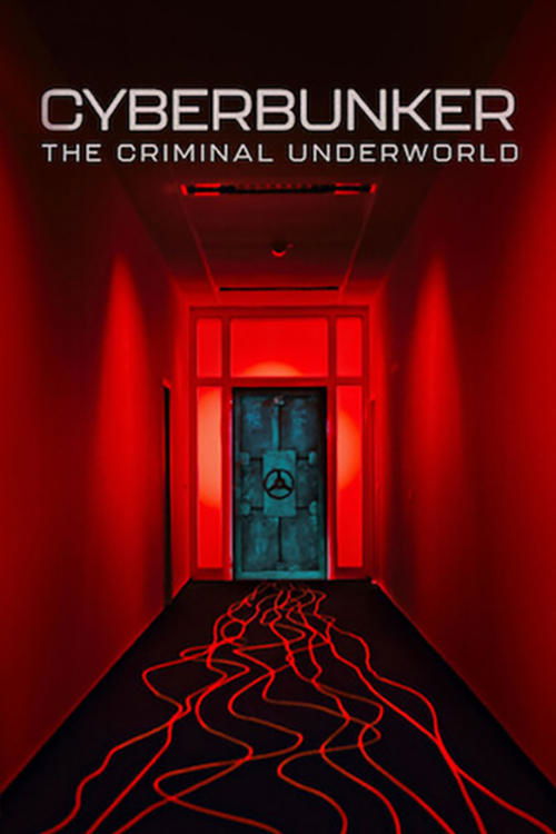 ดูหนังออนไลน์ Cyberbunker: The Criminal Underworld (2023) ไซเบอร์บังเกอร์: โลกอาชญากรรมใต้ดิน